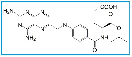 Methotrexate α-tert-Butyl Ester 